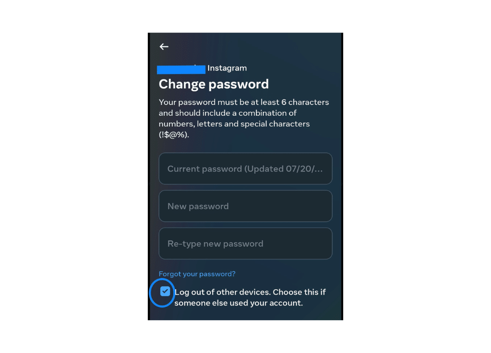 Enter your current Instagram password to log in securely
