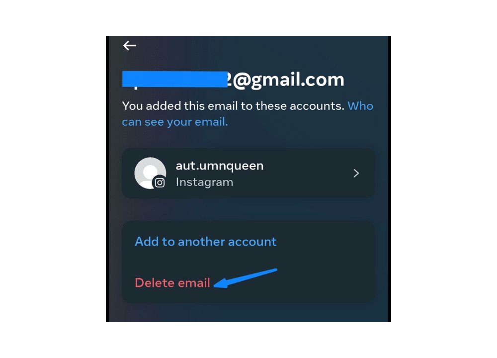 Process for modifying your email address on Instagram's app