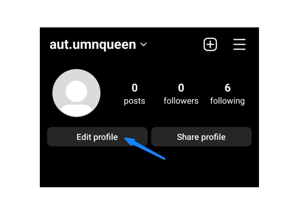 Navigate to the 'Edit Profile' section on Instagram to update your personal information, bio, and profile picture