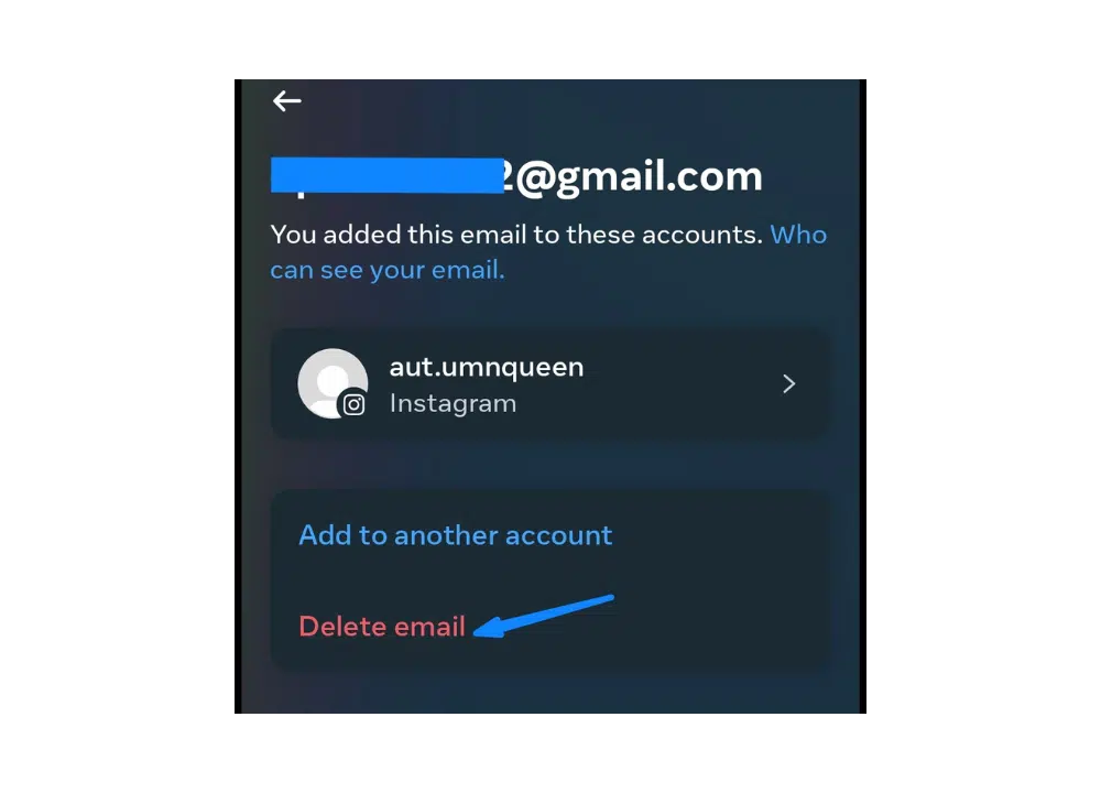 Process for modifying your email address on Instagram's app