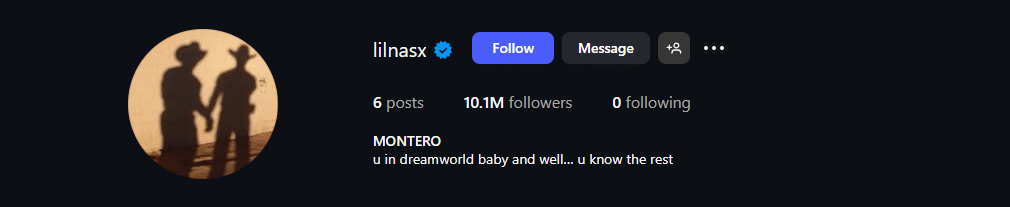 İlina Instagram profile with 10 million followers, dreamy and poetic bio "MONTERO u in dreamworld baby well... i know the rest", silhouette of two people profile picture, mysterious and artistic Instagram bio for creative boys.